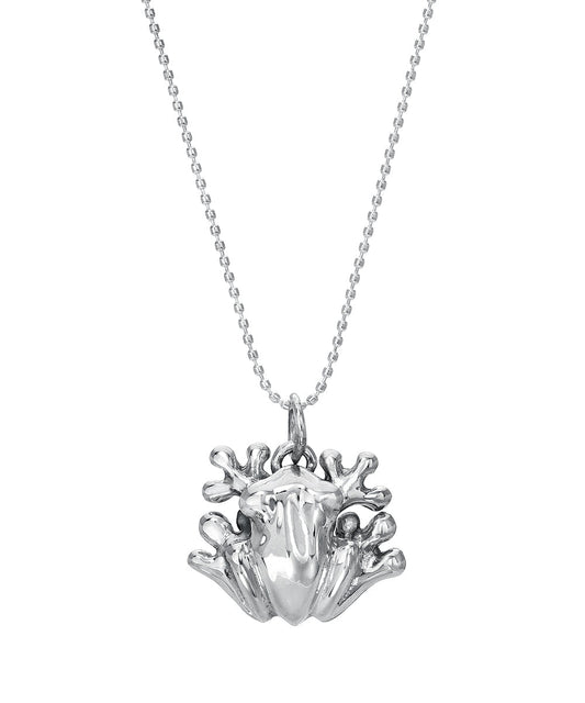 Sterling Silver Feng Shui Money Frog Pendant Necklace