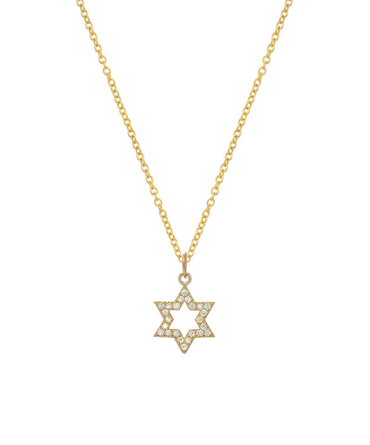 14KT Yellow Gold and Diamond 0.24 cttw Star of David Pendant Necklace, 18"