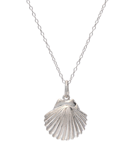 The Sterling Silver Euvola Raveneli Seashell Pendant Necklace showcases a finely detailed scallop shell on a thin chain, set against a plain white background.