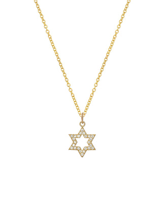 14KT Yellow Gold and Diamond 0.24 cttw Star of David Pendant Necklace, 18