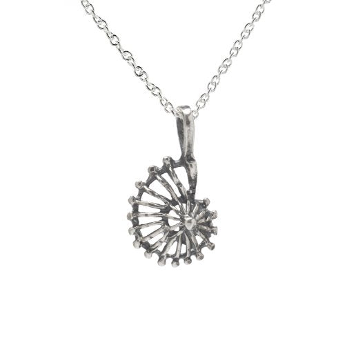 Sterling Silver Nautilus Shell Pendant Necklace, 18"